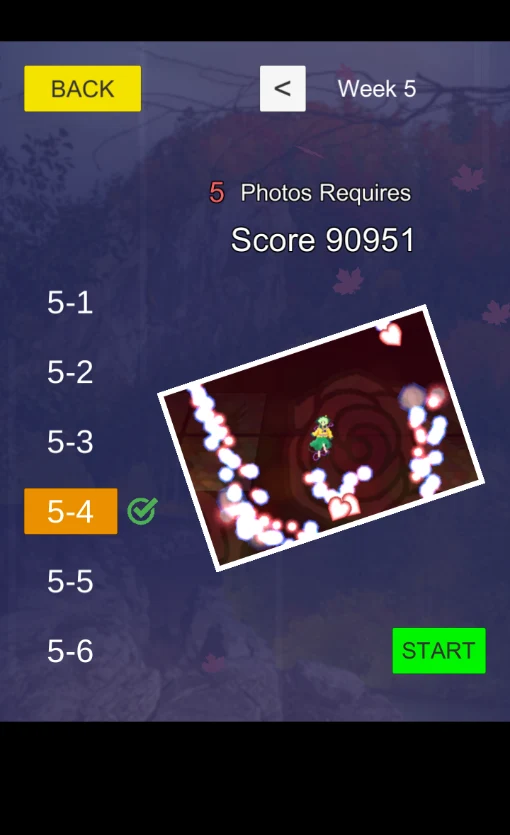 Touhou Activities screenshot